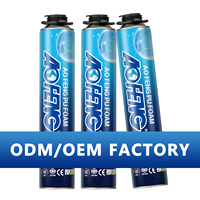 Tube d'extension pour pistolet à mousse polyuréthane (PU) 750 ml – Colle liquide expansive pour calfeutrage de fenêtres et portes – Adhésifs et mastics
