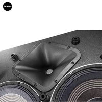 VTX M20 Çift 10 İnç Ahşap Profesyonel Sahne Monitör Hoparlörleri 1250W RMS/2500W Tepe Gücü Su Geçirmez ve Taşınabilir Tasarım