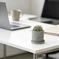 Mini pot de fleurs en ciment intégré et respirant avec soucoupe, style nordique, pour plantes de bureau, personnalisable, gravure sur mesure, vente en gros