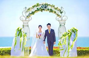 Arche <span class=keywords><strong>de</strong></span> mariage en métal à assembler soi-même Arche <span class=keywords><strong>de</strong></span> jardin avec pergola <span class=keywords><strong>pour</strong></span> plantes grimpantes Rose - Product Image 5