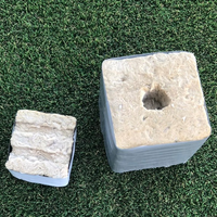 Cubes de culture GN Hydroponics Laine de roche Petit 25*25*40mm pour la croissance des semis et des légumes