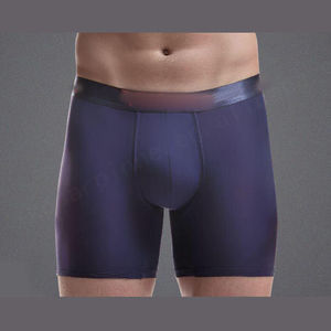 Calzoncillos bóxer de seda helada con logotipo personalizado para hombre, ropa interior deportiva transpirable con función alargada, diseñador privado - Product Image 1