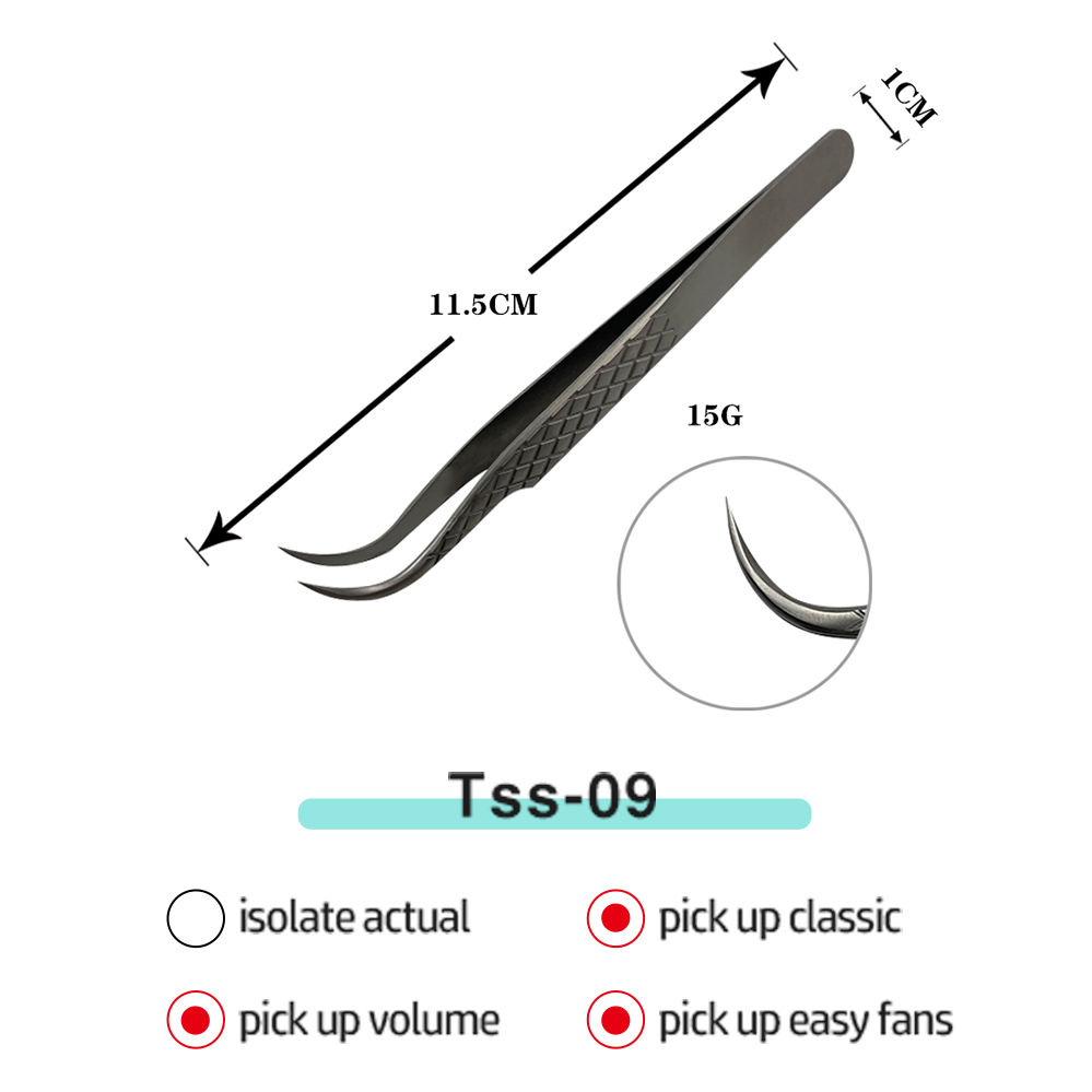 ทีเอสเอส-09