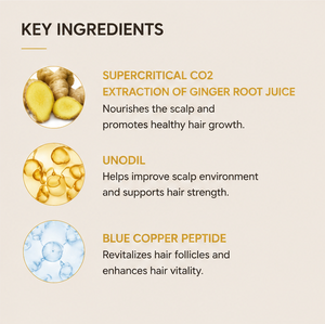 Serie de Cuidado Capilar con Jengibre, Champú y Acondicionador Anticaspa 2 en 1, Aceite Reparador con Péptidos de Cobre Azul para Cabello Dañado, Uso Doméstico - Product Image 4