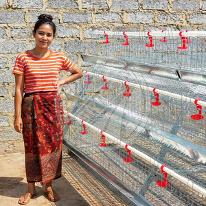 Jaula para gallinas ponedoras tipo A de 3 y 4 niveles, sistema de jaulas automáticas tipo batería para aves de corral con alambre de acero galvanizado, para 96 o 128 aves - Product Image 2