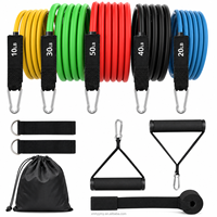 Bandes de Résistance avec Poignées, Ensemble de 11 Pièces pour Entraînement à Domicile, Musculation, Thérapie Physique, Hommes et Femmes, OEM