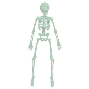 Déguisement réaliste corps entier, farce effrayante, articulations réglables, squelette humain, décoration d'Halloween - Product Image 6