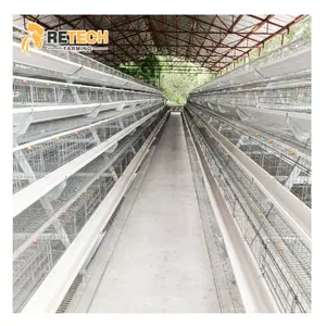 Cages à poulet de type A automatique de haute qualité pour équipement agricole