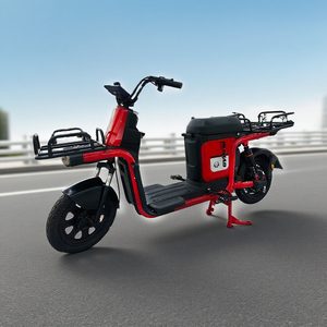 Vélo <span class=keywords><strong>cargo</strong></span> électrique à batterie lithium 48V en promotion, moteur arrière sans balais 350W & 750W, scooter de livraison rapide - Product Image 1