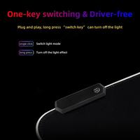 Accessoires de jeu d'ordinateur forme personnalisée grand caoutchouc antidérapant usb led rgb anime gamer tapis de souris avec logo pour jeu d'ordinateur