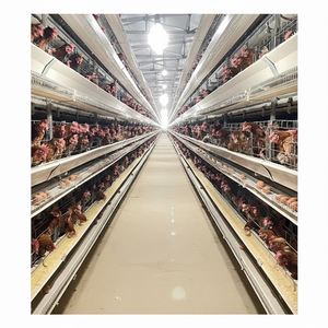 Nuevo diseño tipo H, jaulas para granjas de pollos y aves de corral, jaula de capa de Alimentación automática para pollos de engorde - Product Image 1