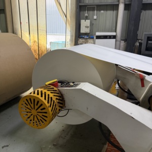 Rouleau de papier enduit de PE écologique, qualité alimentaire, recyclable, rouleau jumbo, taille personnalisée, OEM ODM pour la matière première des gobelets en papier pour boissons - Product Image 6