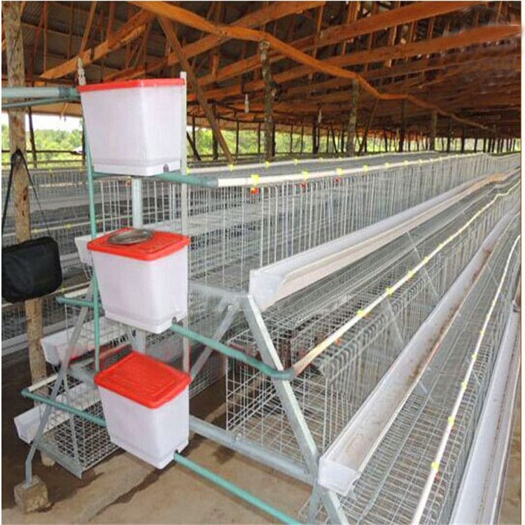 Hot sales A type 3 layer 4 door poultry chicken cage