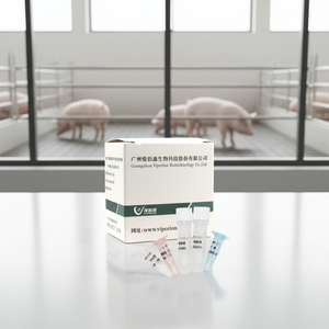 VIPOTION Liofilize Klasik Domuz Ateşi Virüsü Gerçek Zamanlı PCR Test Kiti Veteriner GMP Onaylı ISO Sertifikalı Tespit Kiti - Product Image 1