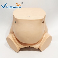 Simulateur d'accouchement avancé avec modèle de dilatation cervicale en 5 étapes pour laboratoire de compétences obstétricales CE ISO ROHS CNAS