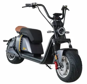 Avrupa sıcak satış 2000w/3000w yağ lastik elektrikli scooter e elektrikli scooter citycoco