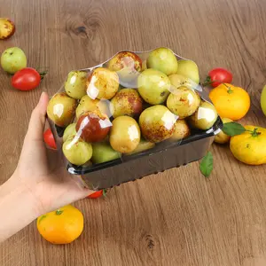 Blister Kunststoff Einweg biologisch abbaubar für frisches Fleisch Obst gefroren pla pp Lebensmittel verpackungs schale