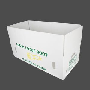 Lámina hueca de PP impermeable de grado alimenticio, cartón corrugado para envasado de frutas, almacenamiento de verduras y contenedores desechables para alimentos - Product Image 1