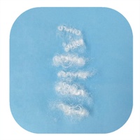 Fabricant Fourniture Oreiller Remplissage fibre discontinue 3D/7D/15D Vierge Superfine Polyester Fibre ZZ