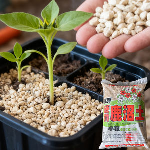 Natuurlijke Poreuze Kanuma Bodem Voor Sappige Cactus Aanplant Verbeteren Bodemdrainage Aerate Wortelzone Hoge Kwaliteit - Product Image 6