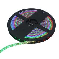 Bande LED adressable WS1903 DC12V IP67/IP20 Corps en cuivre Couleurs changeantes Contrôle individuel Flexible pour l'éclairage paysager
