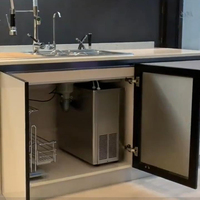 Enfriador de Agua Bajo Fregadero IUISON, Dispensador de Agua Fría Integrado para Cocina, Enfriador para Hogar y Oficina