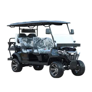 Chariots puissants de buggy de golf de prix usine de 2/4/6 personnes avec le système audio chariot électrique luxueux de buggy de golf