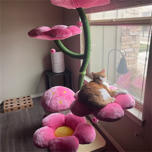 Menara Panjat Kucing Desain Baru XIANGLONG, Rumah Kucing Kayu Indoor dengan Tiang Garukan Sisal Alami - Product Image 5