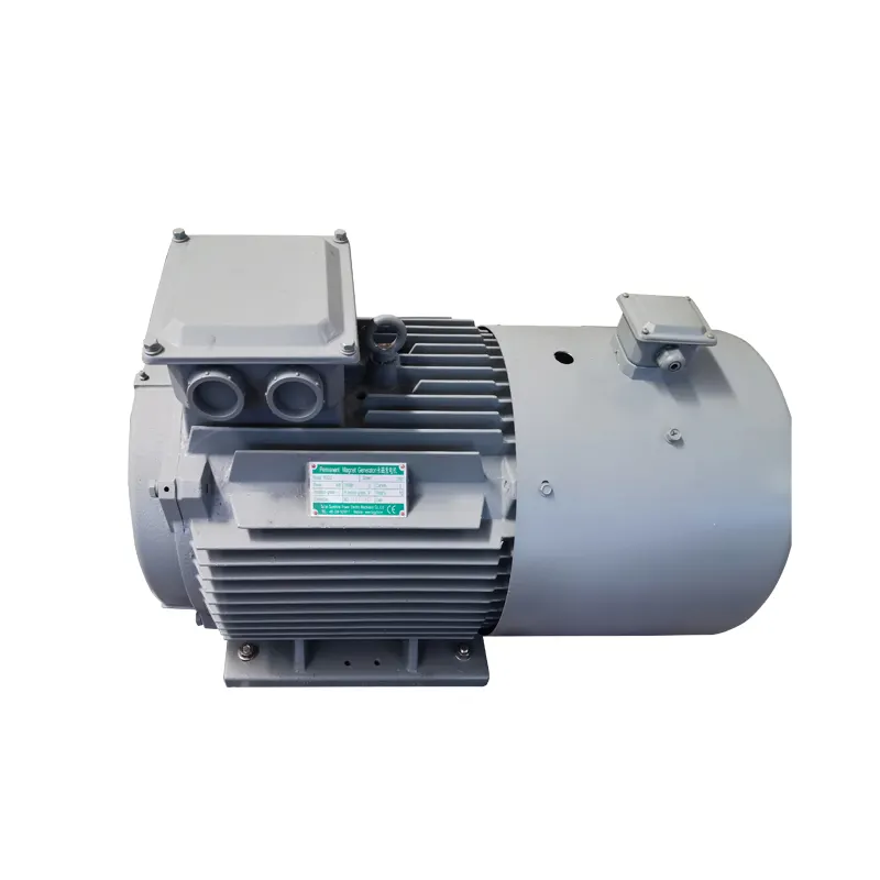 Dinamo 20 poles, 20kW 300rpm 400V Dc drive langsung motor listrik generator Output gigi tipe asal tahan kecepatan tetes