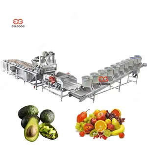 Gelgoog, lavadora de membrillo de acero inoxidable, clasificación, encerado, limpieza de aguacate y máquina de clasificación - Product Image 1