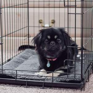 Cama para gatos con autocalentamiento, alfombrilla térmica para perros y gatos, almohadilla térmica cálida para mascotas, alfombrilla para cojín para mascotas con fondo antideslizante - Product Image 4