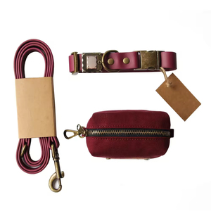 Collier et laisse pour chien personnalisés en PVC imperméable de luxe, nouvelle collection, vente en gros, avec sac à déjections - Product Image 4