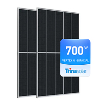 Trina Panneau photovoltaïque 132 cellules bificiel double verre PV Module 675W 680W 685W 690W 695W 700W Trina Panneaux solaires Stock
