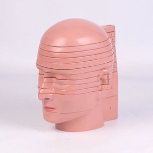 Modelo de <span class=keywords><strong>Cabeza</strong></span> <span class=keywords><strong>y</strong></span> <span class=keywords><strong>Cuello</strong></span> de 12 Componentes con Modelo Neurovascular Desmontable Adjunto al Cerebro, Modelo de Anatomía Humana - Product Image 4