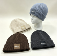 Casquette unisexe pour adultes LEMON 100% acrylique, tricotée à la machine, à rayures géométriques, avec appliqué imprimé, décontractée, pour les voyages, l'hiver