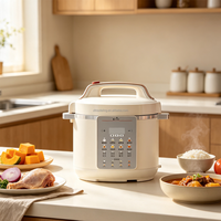 Cuisinière à pression électrique multifonction 5L/6L, cuiseur à riz automatique, appareil de cuisine pour usage domestique
