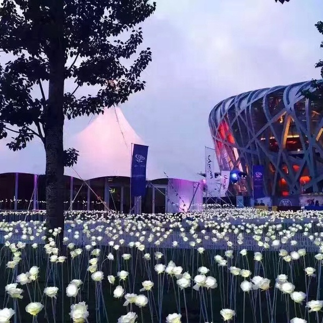 Manufacturers Wholesale Custom Holiday Valentine's Day Indoor Wedding Garden  Decoration Rose Flower Fairy Led Flower Light