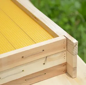Equipo de apicultura, marcos de colmena de abejas de madera ensamblados con hoja de base de cera con cable, marcos de abejas