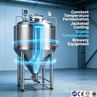 Cuve de Fermentation Industrielle en Acier Inoxydable SS304 avec Enveloppe Thermique pour Sauces, Enzymes et Probiotiques