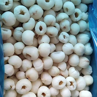 Diepvries Lychee Premium Kwaliteit - Ideaal voor importeurs en groothandels, Lychee fruit met frisse smaak