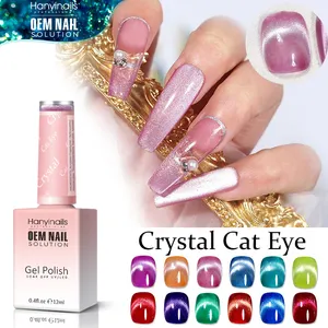 12ml Your Logo Rainbow Cat Eyed Gel Polish Magnet 9D Holographic Universal Cat Eye Nail Gel Nail Art Magnetic UV Gel Polish