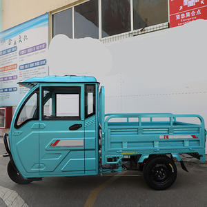 Tricycle de tourisme à trois roues en vente en gros/vélo cargo à moteur de moto <span class=keywords><strong>diesel</strong></span> pour adulte de haute qualité - Product Image 6