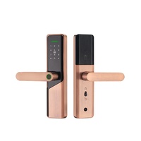 Application Tuya haute sécurité pour serrure de porte intelligente numérique sans clé en aluminium, compatible avec carte mémoire, pour porte en bois/acier, SDK