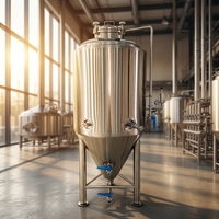 Système de Fermentation en Acier Inoxydable Microcerveceria 500L 1000L pour Brasserie Artisanale