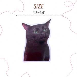 Imanes de Papel para Refrigerador con Diseños Divertidos de Animales, Decoración Impermeable y Ecológica para Cocina, Hogar, Escuela, Trabajo - Product Image 2