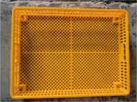 Équipement d'élevage pour l'agriculture et la volaille : Panier d'incubation jaune intégré pour poulets, canards, oies, pigeons, cailles