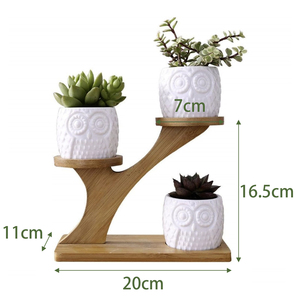 Nhỏ Bảng Top Nhà Máy Đứng 3 Tầng Mọng Nước Cửa sổ Kệ Chủ Sở Hữu Hoa Đứng Cho Nhà Ban Công Sân Vườn Người Yêu Món Quà - Product Image 5