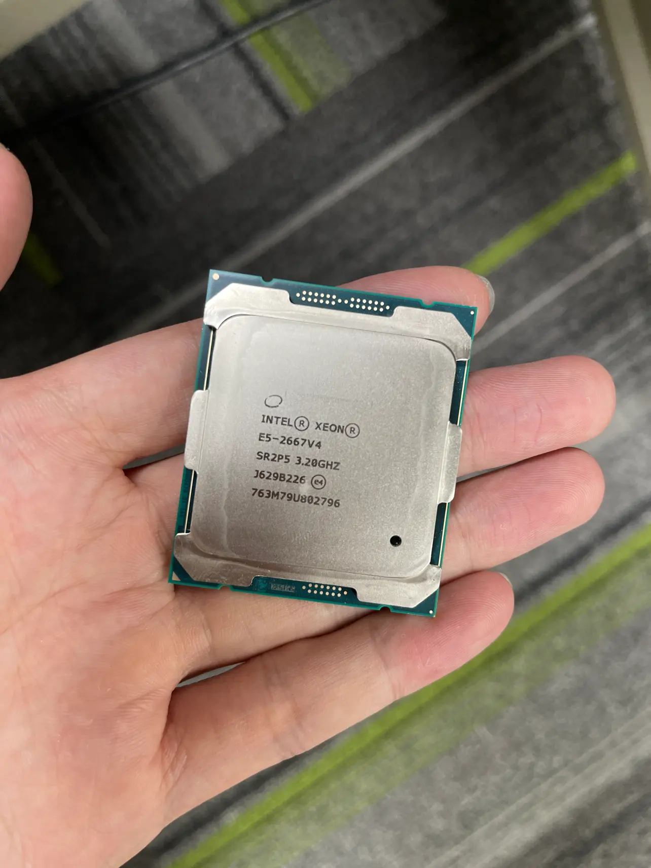 Intel xeon e5 2667 v4