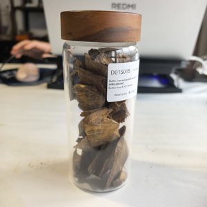 Eco1501 <span class=keywords><strong>Mantequilla</strong></span> <span class=keywords><strong>de</strong></span> Agarwood/Oud/Bakhoor raspada por ambos lados <span class=keywords><strong>en</strong></span> trozos/barritas para árboles <span class=keywords><strong>de</strong></span> <span class=keywords><strong>mantequilla</strong></span> 4A - <span class=keywords><strong>de</strong></span> Guangdong Hainan, China - Product Image 5