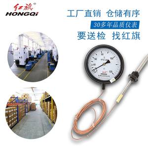 Termómetro de Contacto Eléctrico Hongqi WTZ-280 con Sonda de 500 mm de Acero Inoxidable y Alarma de Alta Temperatura - Product Image 2